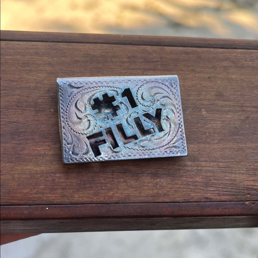 Alpaca Silver Money Clip